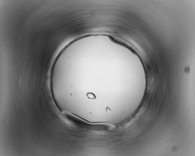 X0000103291196200809191822