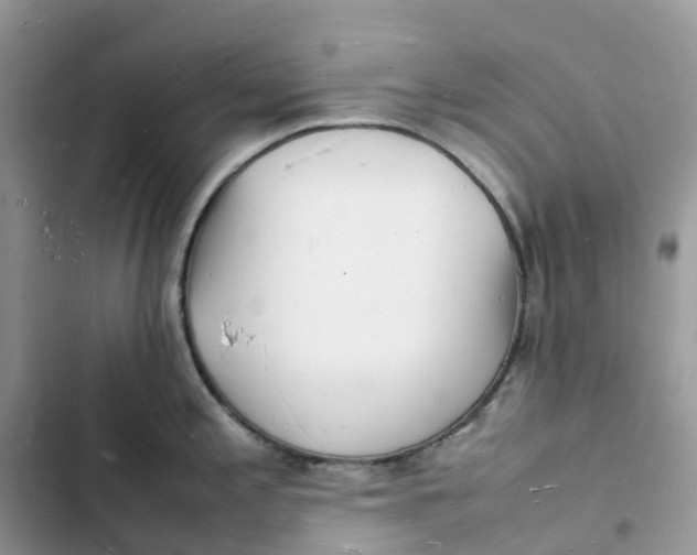 X0000103291197200809191822