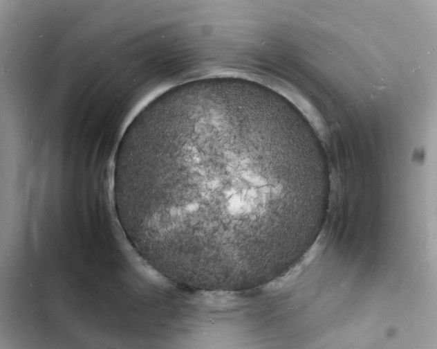 X0000103291198200809191822