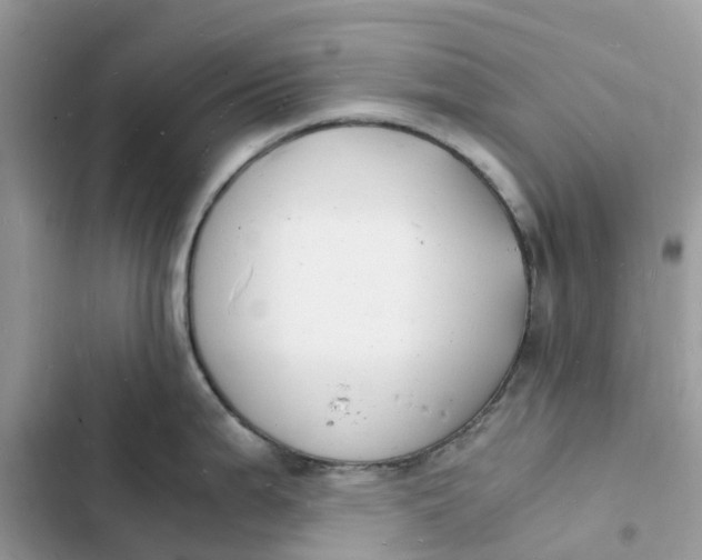 X0000103291199200809191822