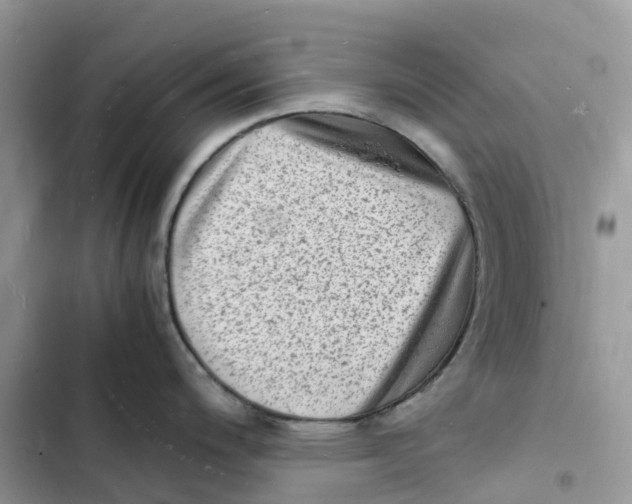 X0000103291200200809191822