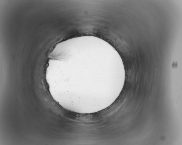 X0000103291201200809191821