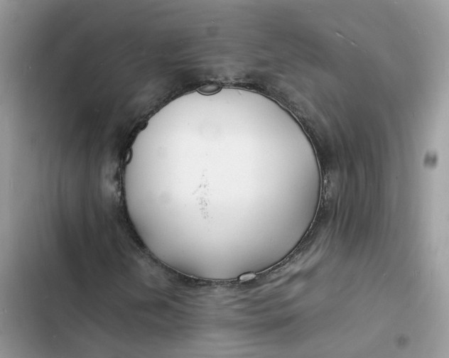 X0000103291202200809191821