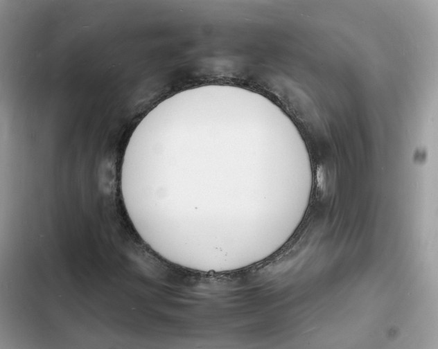 X0000103291203200809191821