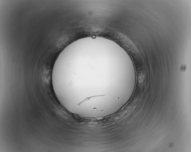 X0000103291204200809191821