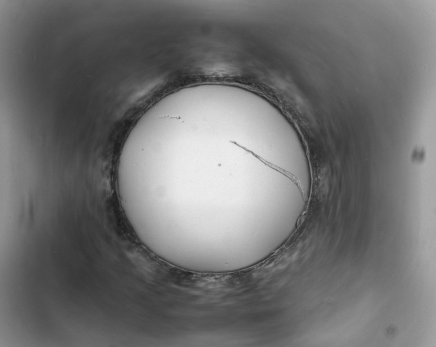 X0000103291205200809191821