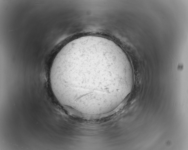 X0000103291206200809191821