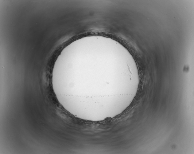 X0000103291207200809191821