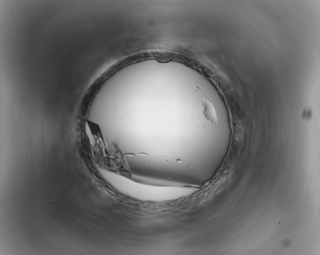 X0000103291208200809191821