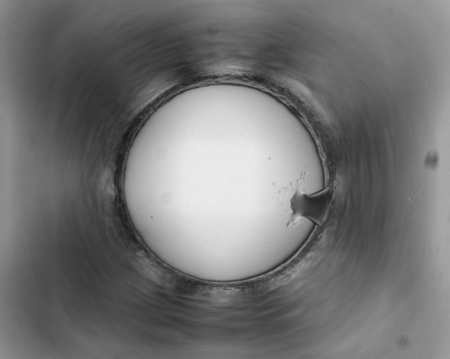 X0000103291209200809191821