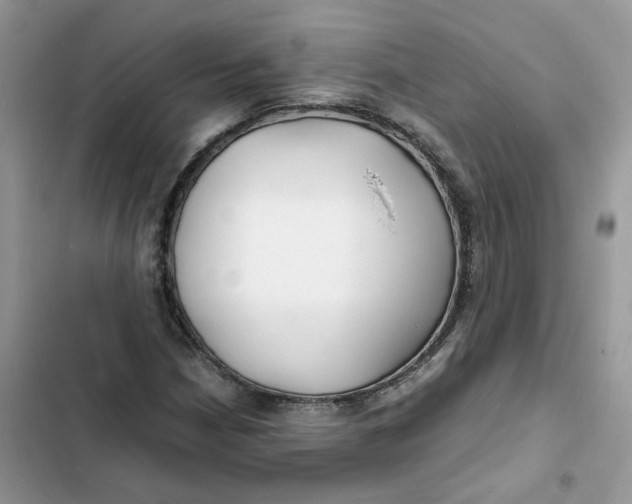 X0000103291210200809191821