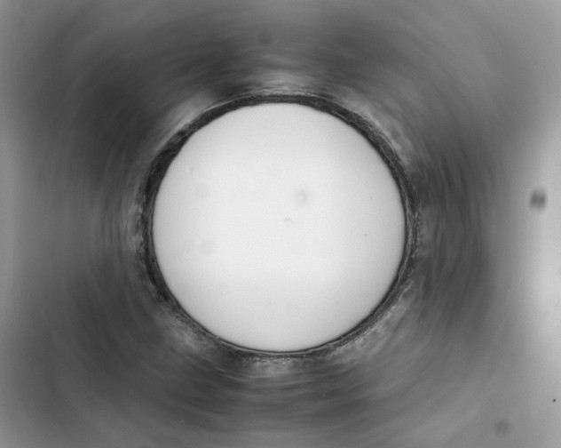 X0000103291211200809191821