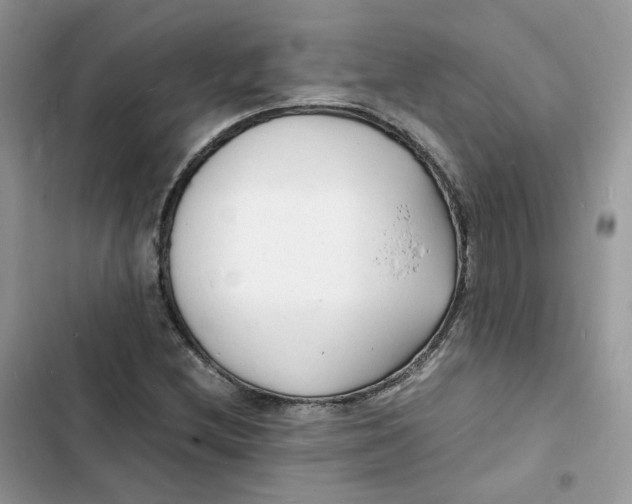 X0000103291212200809191821