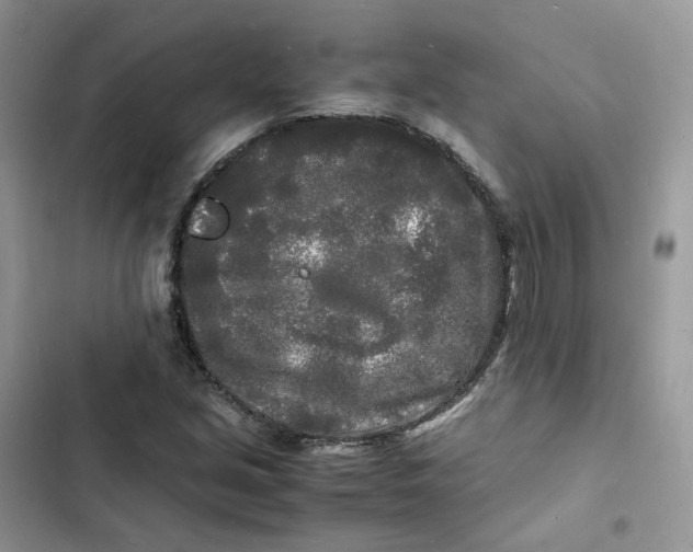 X0000103291213200809191821