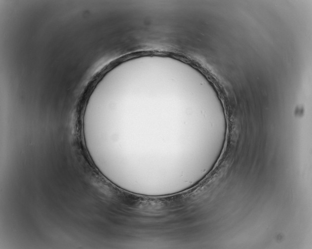 X0000103291215200809191821