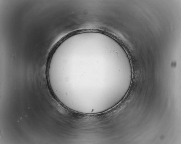 X0000103291216200809191821