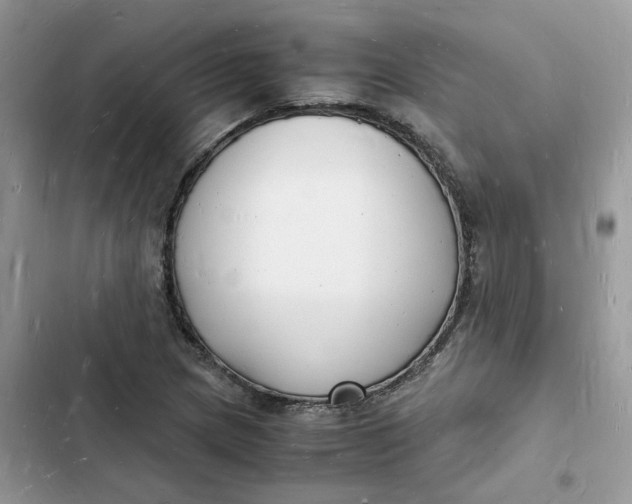 X0000103291217200809191821