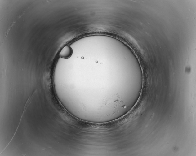 X0000103291218200809191821