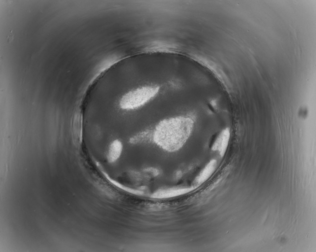 X0000103291219200809191821