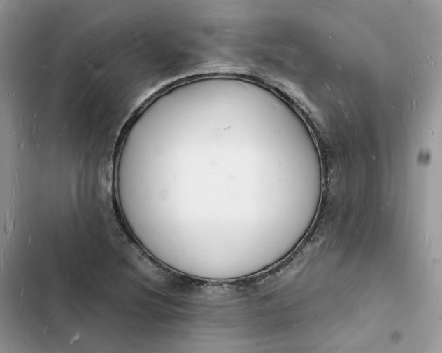 X0000103291220200809191821