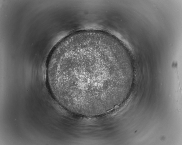 X0000103291221200809191821