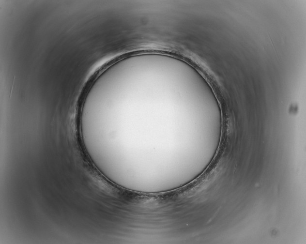 X0000103291222200809191822