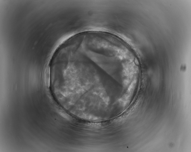 X0000103291223200809191822