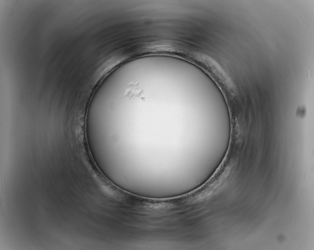 X0000103291225200809191822