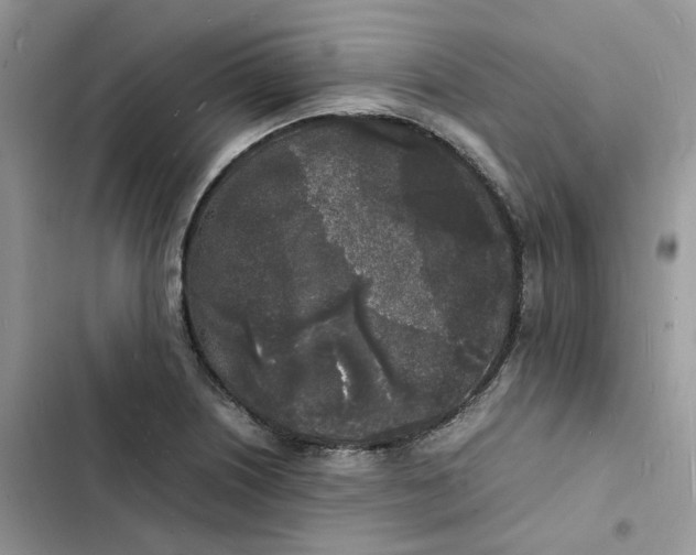 X0000103291226200809191822