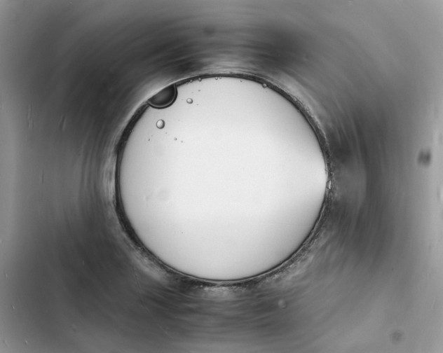 X0000103291227200809191822