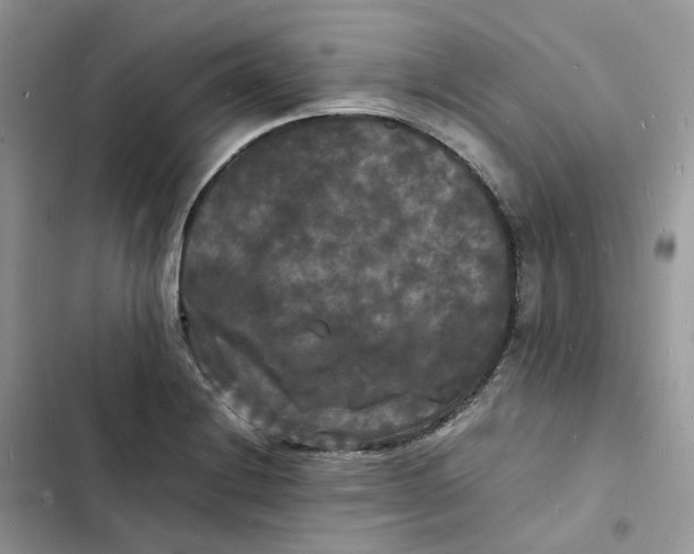 X0000103291228200809191822