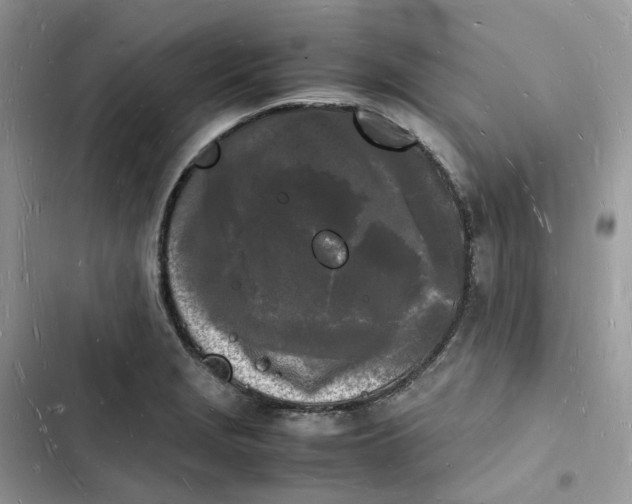 X0000103291229200809191822