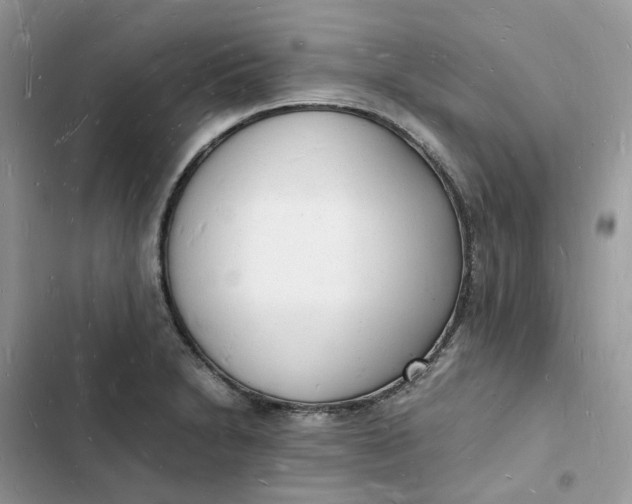 X0000103291230200809191822