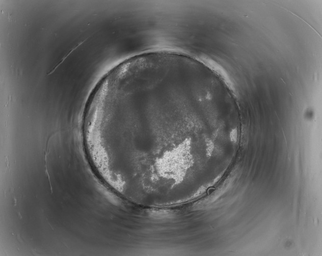 X0000103291231200809191822