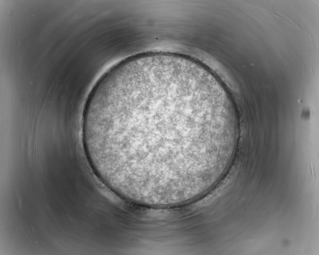 X0000103291232200809191822