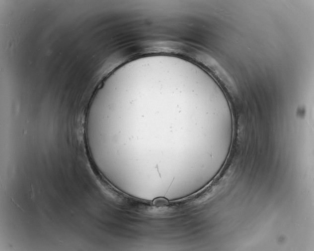 X0000103291233200809191822