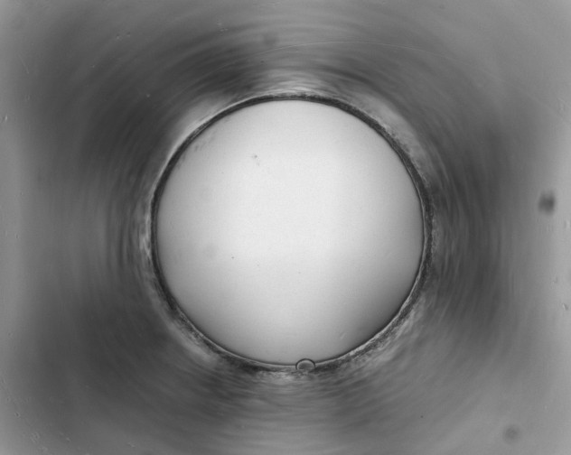 X0000103291234200809191822