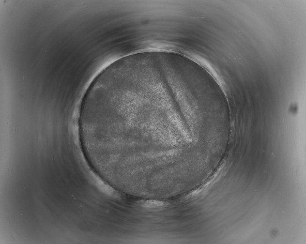 X0000103291235200809191822