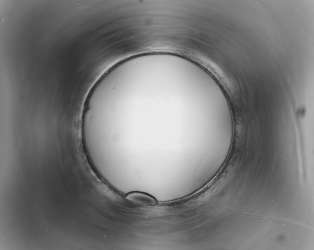 X0000103291236200809191822