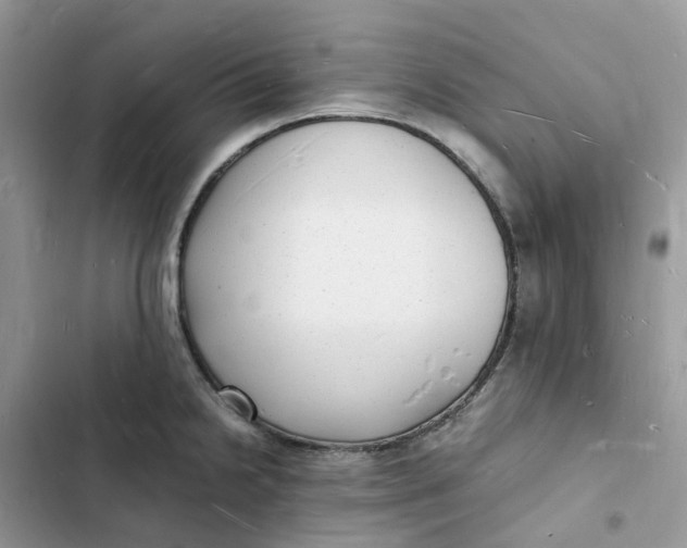 X0000103291238200809191822