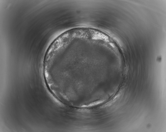 X0000103291239200809191822