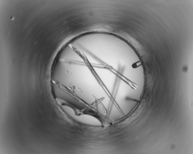 X0000103291240200809191822