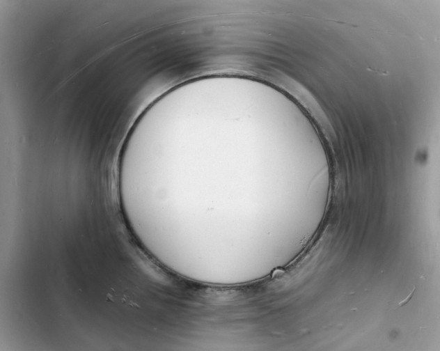 X0000103291242200809191822