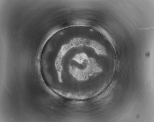 X0000103291243200809191822