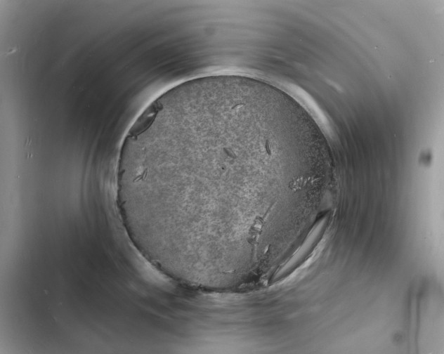 X0000103291244200809191822