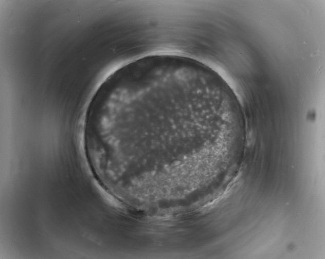 X0000103291245200809191822