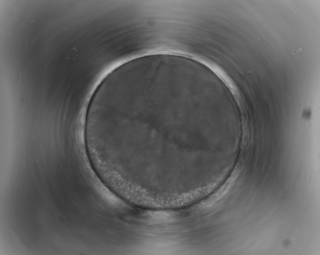 X0000103291246200809191822