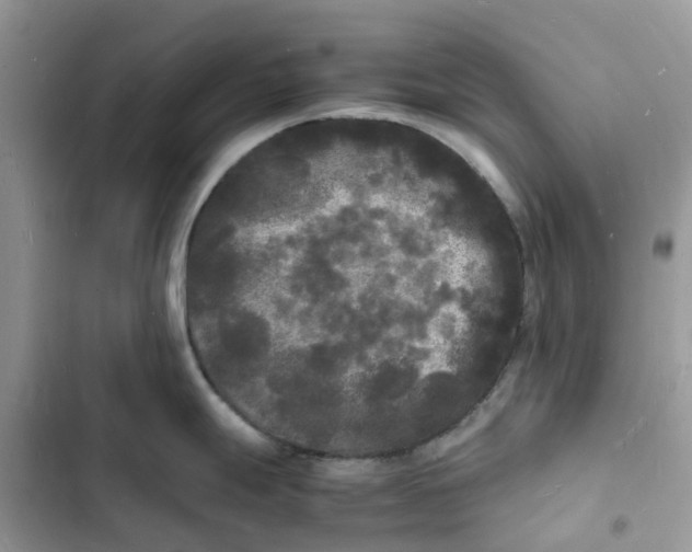 X0000103291247200809191822