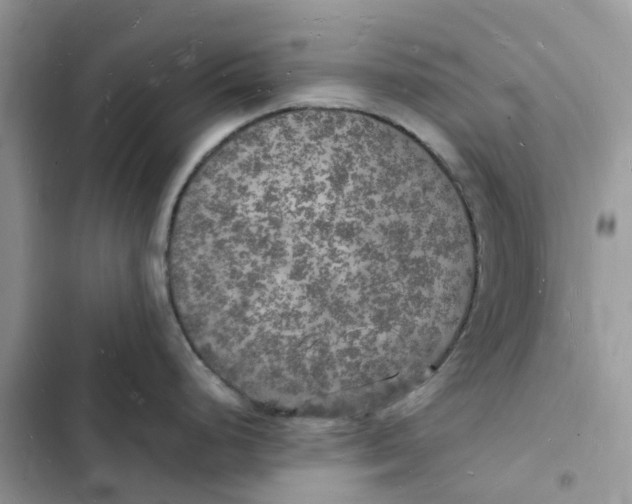 X0000103291248200809191822