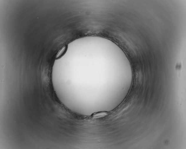 X0000103291250200809191821